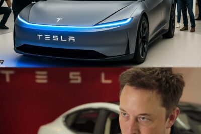 Elon Musk Reveals Tesla Model 2 Quietly Launched with Insane Specs! All Industry Shocked!