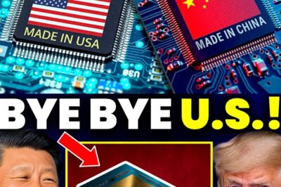 China JUST Launched World’s FASTEST TRANSISTOR Destroying The U.S. Sanctions! 