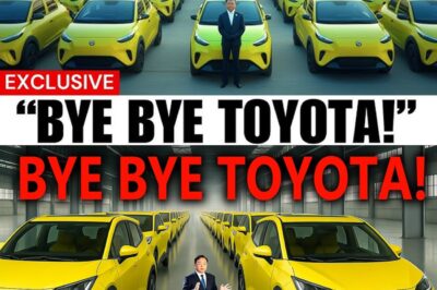 BYD Announce All New $7,799 Mini EV Will Shakes The Entire EV Industry!