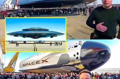 Elon Musk Sh0cks the World With Hypersonic Spacecraft: Global Travel in Just 1 Hour, Breaking All Limits to Explore the Universe! Future Technology Turns Science Fiction Into Reality Right Before Your Eyes! Tech Billionaire Is Reshaping Human History With His Most Audacious Project Ever!