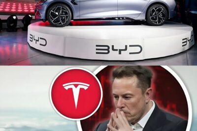BYD Sells Nearly 1M Cars in Q1 2025 — Tesla Can’t Keep Up.