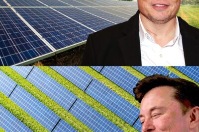 BREAKING: Elon Musk unveils a $105,000,000,000.00 solar-powered housing revolution, bringing clean energy and smart living into the future!