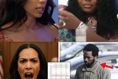 Erica DESTROYS Mendeecees In Court After DNA PROVES Mendeecees Is Father