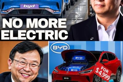 BYD CEO ALL NEW $4,999 Car Will Shake up The Entire EV Industry!