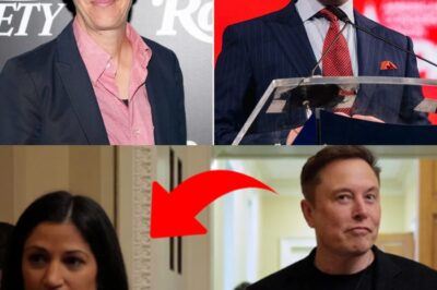 Stephen Miller’s Worst Nightmare Unfolds on Live TV: How Rachel Maddow Traps Him with a Timeline He Couldn’t Escape