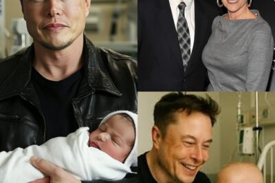Elon Musk Plans to Bring 14th Son to Celebrate Maye Musk’s 77th Birthday in Heartwarming Family Gathering