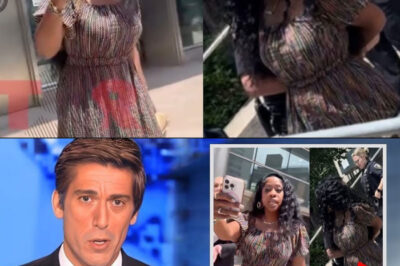 MAJOR UPDATE: Sad News For ‘LHHNY’ star Remy Ma Fans. Remy Ma ARRESTED After Heated Confrontation Outside Court | Shocking Incident Caught on Camera