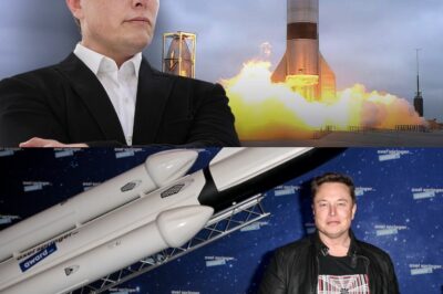 Elon Musk cofounded seven companies, including electric car maker Tesla, rocket producer SpaceX and artificial intelligence startup xAI. See where he lands on the 2025.