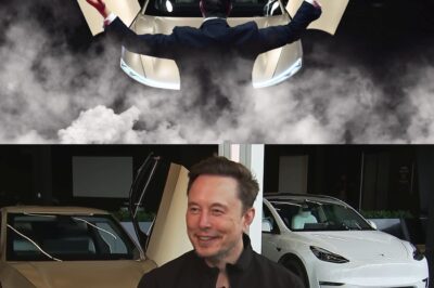 Bullish Tesla investors are counting on Musk’s robotaxi dream to create a vast new revenue stream from autonomous rides. That may happen, but it also creates a risk the company hasn’t faced before: legal liability from self-driving tech failures.