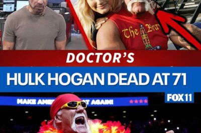 He Was Just Sitting in a Chair When He Suddenly Stopped Breathing—Now Explosive Allegations Claim Hulk Hogan’s Phrenic Nerve Was Severed During Surgery, Police Body Cam Reportedly Captures Therapist’s Shocking Statement, Daughter Brooke Demands an Autopsy, Cremation Suspiciously Delayed, Family Rift Widens With Wife Sky, and Fans Around the World Are Left Asking: Was This Simply Tragedy, or a Devastating Case of Medical Malpractice That Stole a Legend Too Soon?