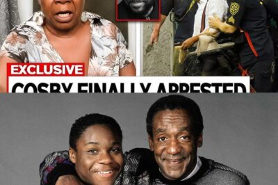 From Hollywood’s Golden Boy to a Murder Shrouded in Power, Lies, and Silence: Inside the Explosive Revelation That Turned Malcolm Jamal Warner’s Alleged ‘Accidental Drowning’ Into a Federal Murder Case, the USB Drive Discovery That Shattered a Mother’s Heart, the Shadow Network Exposed, and the Stunning Arrest of Bill Cosby That Has Rocked the Entertainment Industry, Triggered a Movement for Justice, and Unleashed a Reckoning That Could Bring Down an Entire System Built to Protect Predators and Erase the Truth From History