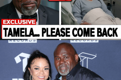 David Mann EXPLODES In Rage After Leaked Hospital Report Surfaces! What He Reads Will Leave Fans SHOCKED And Question Everything About His Health, Career, And Private Life — You Won’t Believe The Details That Just Came Out!