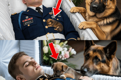 Unbelievable Miracle at the Funeral: The Heartbreaking Reason the Dog Refused to Stop Barking in Front of the Coffin—What Happened Next Stunned Everyone! The Mysterious Bond Between Pet and Owner Leads to an Astonishing Event No One Ever Expected