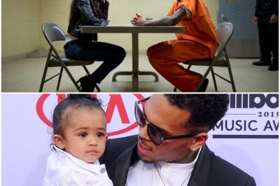 🚨 Chris Brown Just Shook the Internet With One Explosive Claim — And It’s About Rihanna’s Newborn! 🚨 Out of nowhere, the singer hinted he could actually be the baby’s father, leaving fans scrambling to connect the dots. From past entanglements to cryptic posts, the timeline suddenly doesn’t look so simple. Social media is in meltdown mode, with theories flying faster than ever. Could this be the ultimate plot twist of the year? Full story in the comments 👇👇
