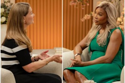 “Serena Williams BREAKS SILENCE: Shocking Confession About Her Family, Hidden Struggles, and the Billion-Dollar Investments That Could Shake the Sports World Forever!”