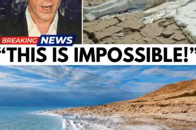 Prophecy Comes Alive: Scientists Discover Living Fish in the Dead Sea, Fulfilling Ezekiel’s Ancient Bible Prediction—Is This Miraculous Sign the Beginning of More Shocking Revelations? Experts and Believers Stunned as One of History’s Most Mysterious Prophecies Appears to Unfold Before Our Eyes!