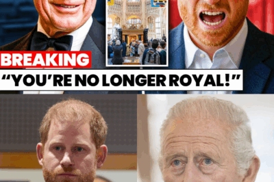 Prince Harry EXPLODES In Rage After King Charles PUBLICLY Humiliates Him By REFUSING To Allow Attendance At Historic Bath 300th Anniversary Party — Royal Family Members Left STUNNED As Tensions Erupt In Front Of Global Audience And Meghan Markle’s Silence Sparks EVEN BIGGER Questions About The Future Of The Sussex Marriage And Their Place Inside The Monarchy!