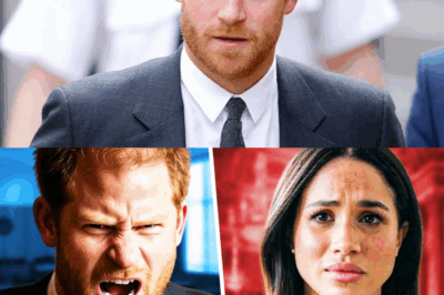 Prince Harry DEMANDS DIVORCE After Explosive Charity Scandal BLOWS UP Meghan Markle’s Carefully Crafted Image – Secret Emails, Hidden Agendas, and Shocking Betrayals Leave Harry Screaming “You’re Disgusting” as Royal Insiders Reveal This Could Be the Final Nail in the Coffin for Their Tumultuous Marriage