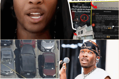 The Security Camera Blackout: New Details on the David Situation Reveal a Chilling TikTok Warning and a Deepening Mystery