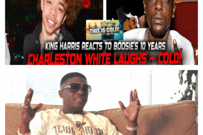 THE BRUTAL BETRAYAL: Inside the Social Media War That Tore Boosie’s Family Apart After His Shocking 10-Year Sentence