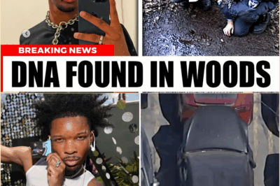 ‘Unfinished Business’: DNA Confirms David Chen Was Alive in Montana Hideout 72 Hours Ago, Exposing a Massive Domestic Terrorism Network Aiding Fugitive Manhunt