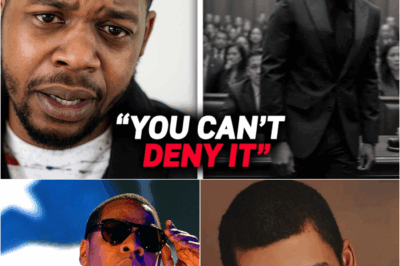DNA Verdict Shatters an Empire: Jay-Z’s Furious Courtroom Outburst as Paternity is Confirmed After Decade-Long Battle