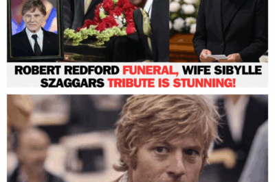 Robert Redford’s Untapped Legacy: A Rebel’s Journey From Heartbreak to Hollywood Icon and Beyond