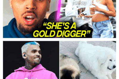 Chris Brown’s Meltdown: Inside the Alleged Rage After Karrueche Tran’s Secret Marriage and Twin Pregnancy Rumors with Deion Sanders