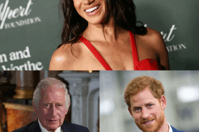 SHOCKING ROYAL DRAMA! Meghan Markle EXPLODES In RAGE After King Charles PUBLICLY REJECTS Prince Harry’s Desperate Plea For A Private Meeting – Palace Sources Claim The King Is FINISHED With His Own Son As Tensions BOIL Over, Leaving Meghan HUMILIATED And Harry HEARTBROKEN In What Could Be The FINAL Royal Betrayal That Changes Everything FOREVER!