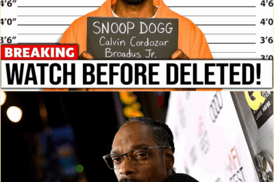 Beyond the Bling: The Darkest Secrets and Legal Turmoil Snoop Dogg Finally Confirms at 53