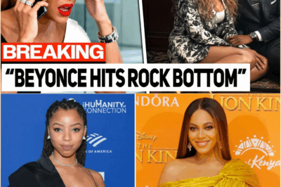 The Price of Perfection: How Beyoncé’s Unreachable Mystery Is Causing Her Multi-Million Dollar Business Ventures to Collapse