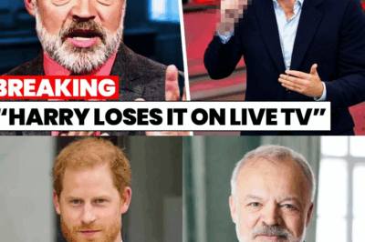 Harry EXPLODES in FURY and STORMS OUT After Graham Norton PUBLICLY EMBARRASSES Him on Live TV — Shocking On-Air Meltdown Leaves Audience Stunned, Meghan Markle Reportedly in Tears Backstage, and Royal Family Humiliated as Clip Goes Viral Around the World With Viewers Saying This Could Be the FINAL Straw in Harry’s Already Fragile Relationship With Britain and the Monarchy