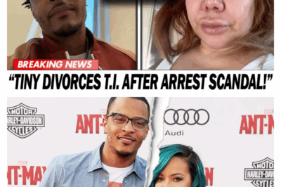 The Family Implosion: How King Harris’s Arrest Led to a Public Divorce and the Collapse of a Hip-Hop Dynasty
