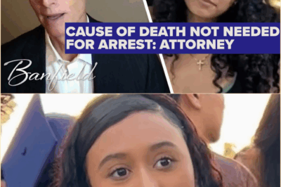 The Prophetic Confession: Inside the Methodical Hunt for Celeste Rivas Hernandez’s Killer and the Digital Evidence That Spells Doom