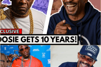 ‘I’M TIRED OF FIGHTING’: Inside Boosie Badazz’s Tragic 10-Year Plea Deal and the Vicious Celebration by Charleston White