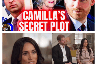 The Royal Trap: A Calculated Plot to Humiliate Prince Harry and Destroy His Marriage?