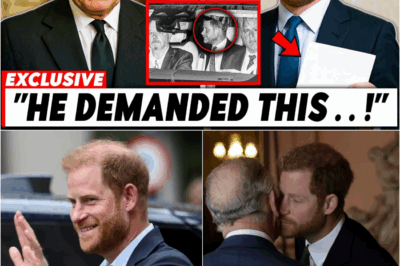 Portrait of the ‘icy’ meeting between King Charles and Prince Harry: 20 short minutes and rejected requests