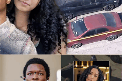 The Dark Chords of Homicide: New Details Emerge in the Dismembered Teen Found in D4VD’s Tesla