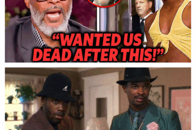 The Wayans Betrayal: How Hollywood Executives Used a Single Joke to Steal the Multi-Billion Dollar Empire of In Living Color