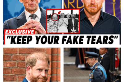 The Silent Snub: How Prince Harry’s Alleged Outrage Over an Unanswered Email Deepened the Royal Divide