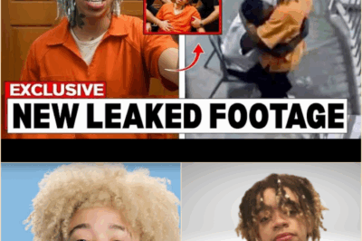 The Collapse and The Conspiracy: How King Harris’s Sentencing Unraveled a Family and Sparked a Public Uproar