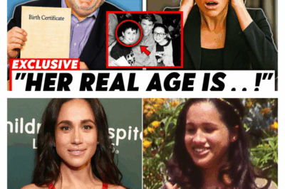 The Six-Year Secret: Documents, Family Betrayal, and the Hollywood Lie That Exploded Meghan Markle’s Royal Fairy Tale