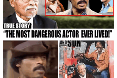 From Wiring to Wit: How Electrician Nathaniel Taylor Became Rollo Lawson, Sanford and Son’s Unshakably Cool Icon