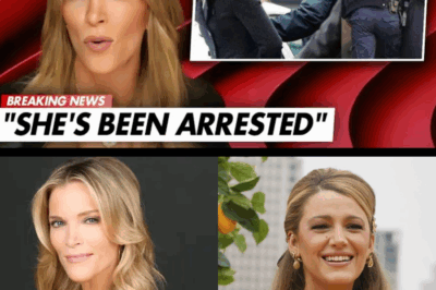 “Wait… WHAT?! Megyn Kelly Just Dropped a BOMBSHELL Claim That Could Send Blake Lively STRAIGHT To JAIL — Fans Are STUNNED As Hidden Secrets Finally Come Out and Hollywood Scrambles To Cover Up The Truth That No One Saw Coming!”