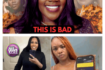 The Unraveling: The Tragic Downfall of R&B Queen Kelly Price