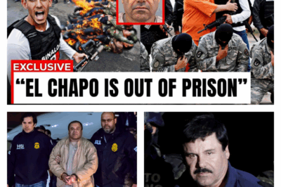 Brazen Attack on El Chapo’s Prison: A New Cartel Faction Sends a Chilling Warning to the Most Feared Drug Lord