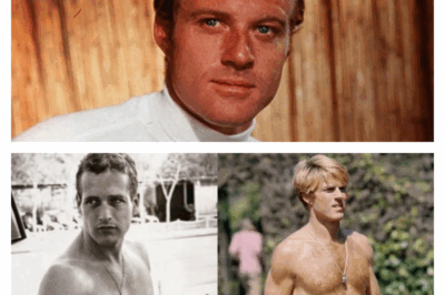 Robert Redford: The Last Rebel and the Unforgettable Legacy of a Hollywood Icon