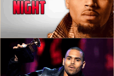 The Single Night That Shattered Chris Brown’s Image and Changed His Career Forever