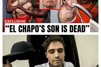 The Serpent’s Son: How Ovidio Guzman Betrayed El Chapo’s Legacy and Ignited a Cartel War