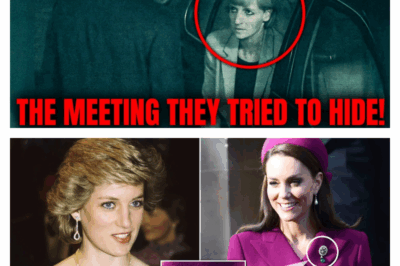 The Secret Agreement: A Chilling Theory Claims Princess Diana Refused a Deal for Her Life Hours Before Her Death